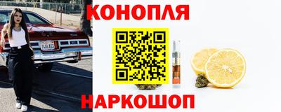 стафф Славгород