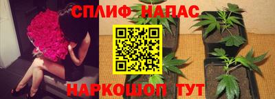 стафф Славгород