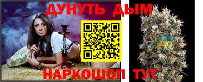 стафф Славгород