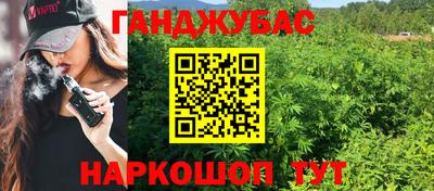 стафф Славгород